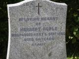 image of grave number 795952
